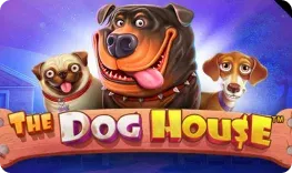 Wonaco – The Dog House